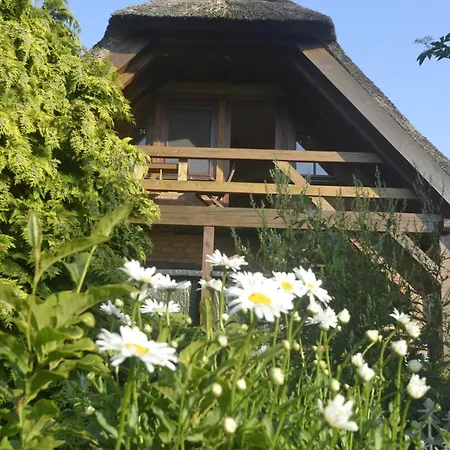 Darssblick Apartment